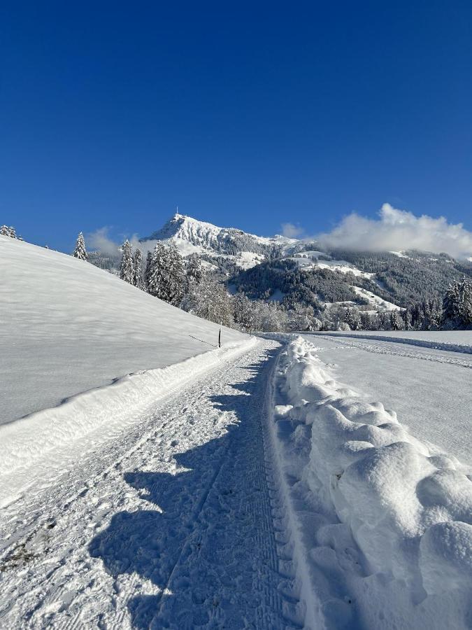 Waldnest Kitzbühel Exterior foto